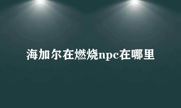 海加尔在燃烧npc在哪里