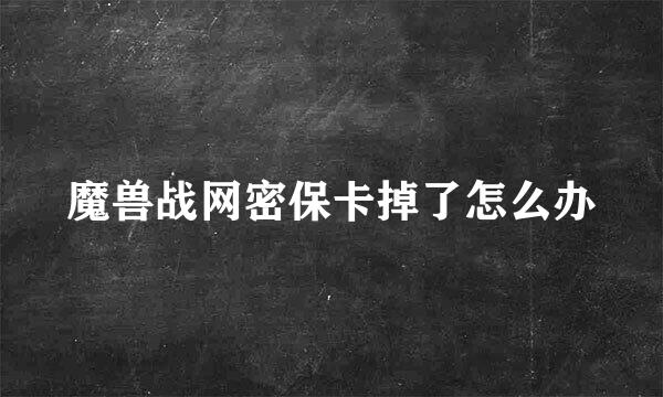 魔兽战网密保卡掉了怎么办