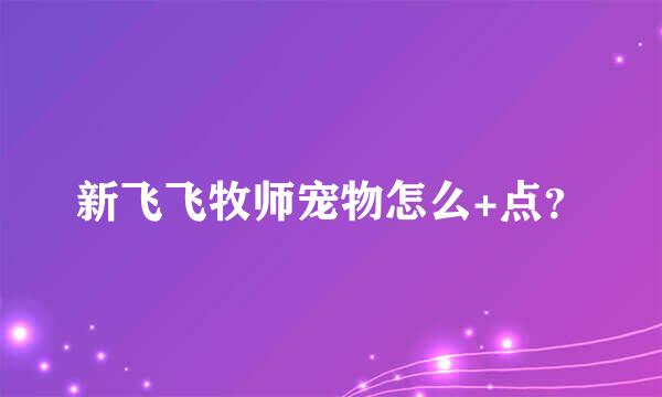 新飞飞牧师宠物怎么+点？