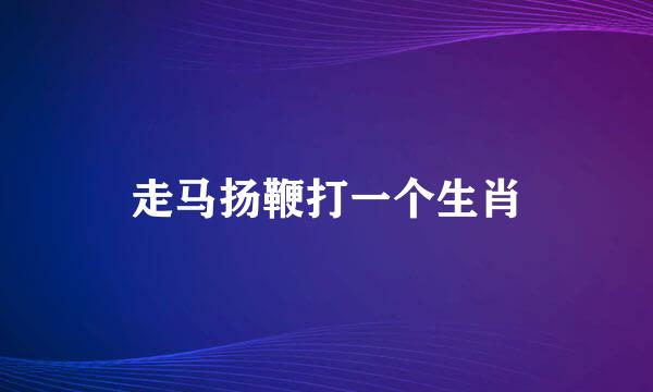 走马扬鞭打一个生肖