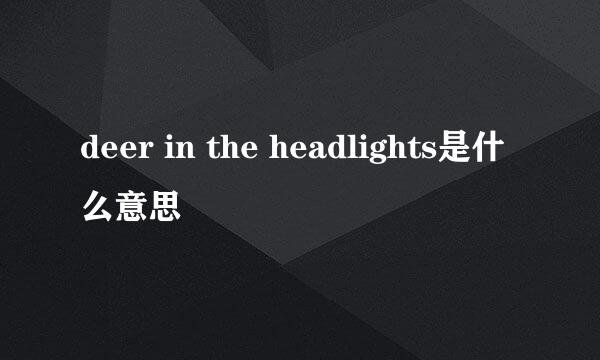 deer in the headlights是什么意思