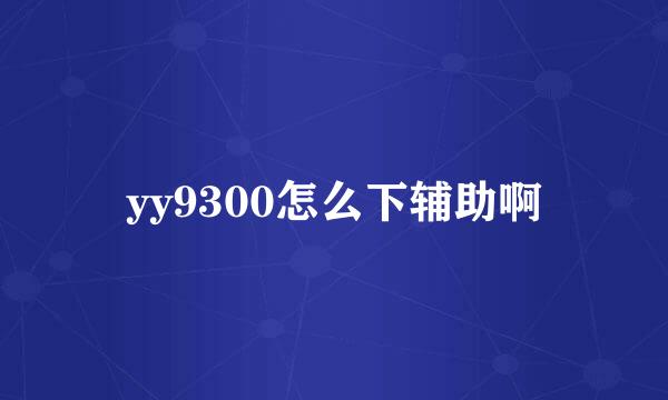 yy9300怎么下辅助啊