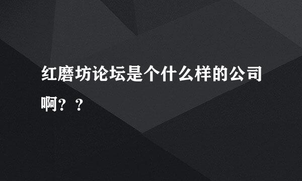 红磨坊论坛是个什么样的公司啊？？