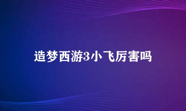 造梦西游3小飞厉害吗