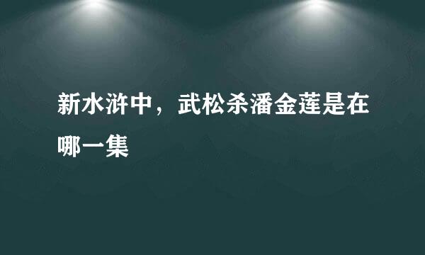 新水浒中，武松杀潘金莲是在哪一集