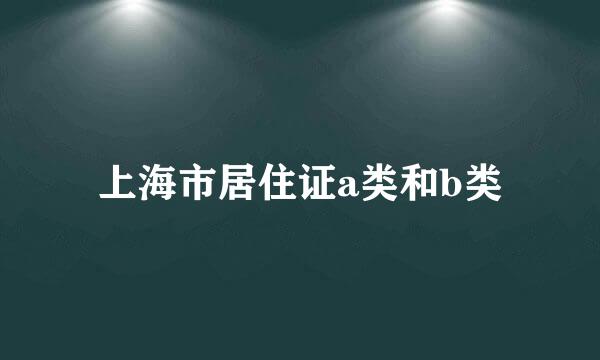 上海市居住证a类和b类