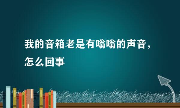 我的音箱老是有嗡嗡的声音，怎么回事