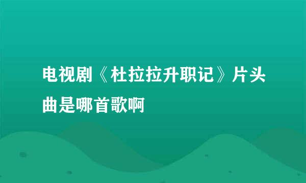 电视剧《杜拉拉升职记》片头曲是哪首歌啊