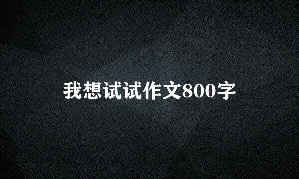 我想试试作文800字