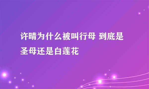 许晴为什么被叫行母 到底是圣母还是白莲花