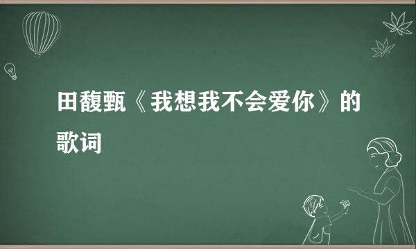 田馥甄《我想我不会爱你》的歌词