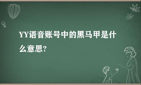 YY语音账号中的黑马甲是什么意思?