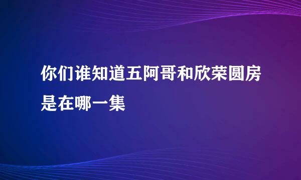 你们谁知道五阿哥和欣荣圆房是在哪一集