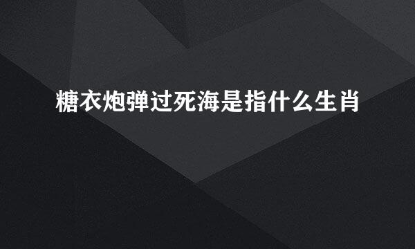 糖衣炮弹过死海是指什么生肖