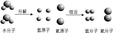 两种沉淀的复分解反应