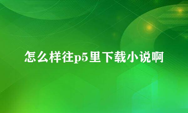 怎么样往p5里下载小说啊