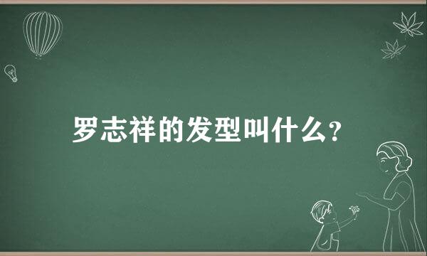 罗志祥的发型叫什么？