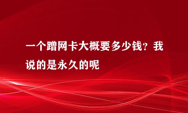 一个蹭网卡大概要多少钱？我说的是永久的呢