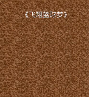 《飞翔篮球梦》txt下载在线阅读全文，求百度网盘云资源