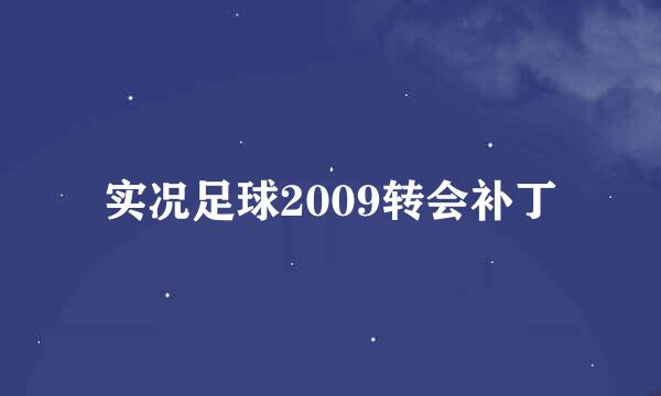 实况足球2009转会补丁