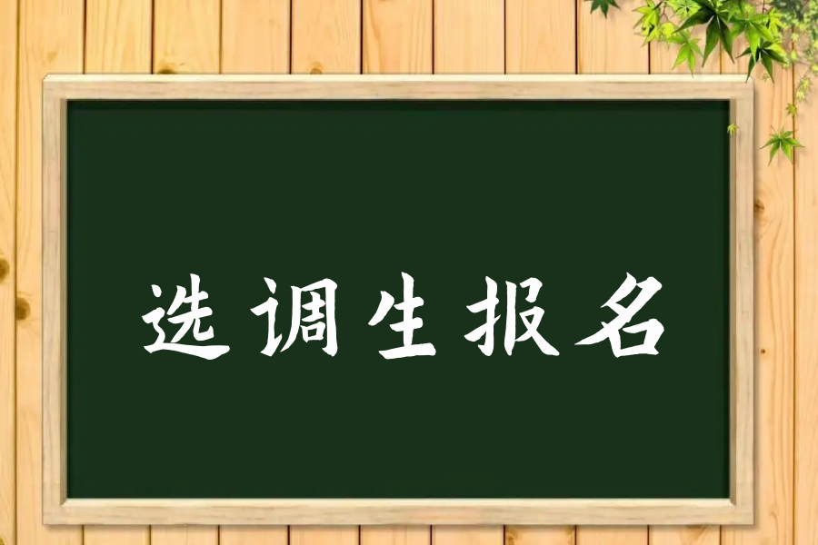 河南省选调生报名时间2023