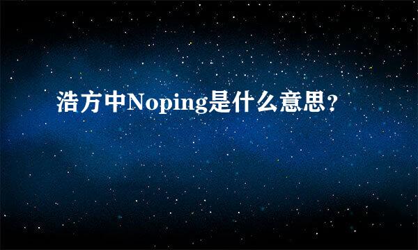 浩方中Noping是什么意思？