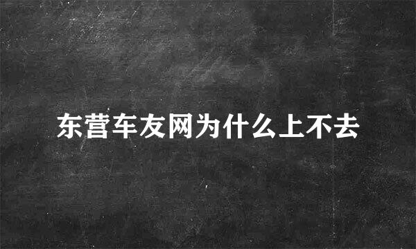 东营车友网为什么上不去