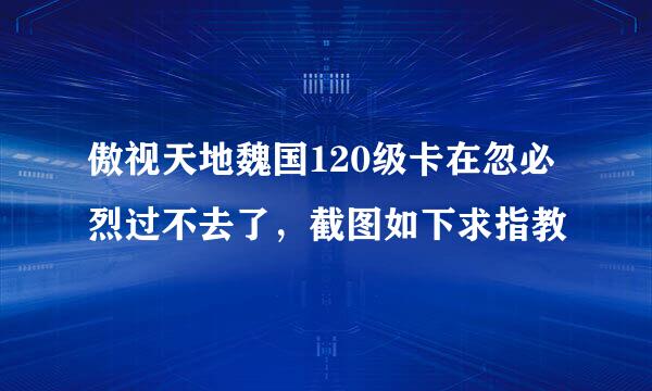 傲视天地魏国120级卡在忽必烈过不去了，截图如下求指教