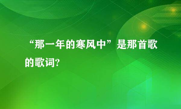 “那一年的寒风中”是那首歌的歌词?