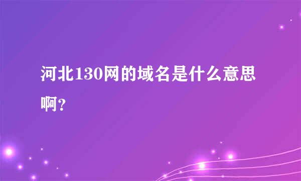 河北130网的域名是什么意思啊？