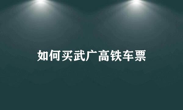 如何买武广高铁车票