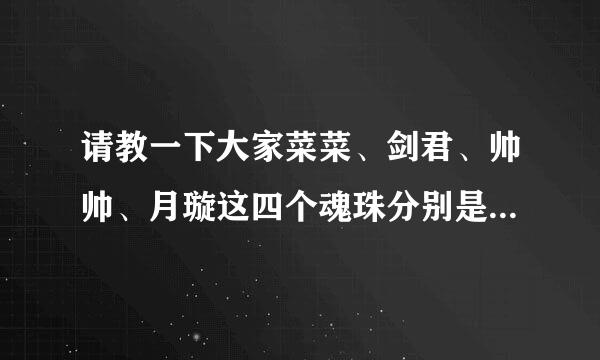 请教一下大家菜菜、剑君、帅帅、月璇这四个魂珠分别是加什么的？大神们帮帮忙