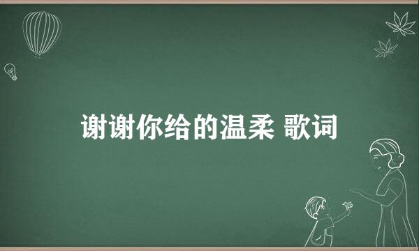 谢谢你给的温柔 歌词