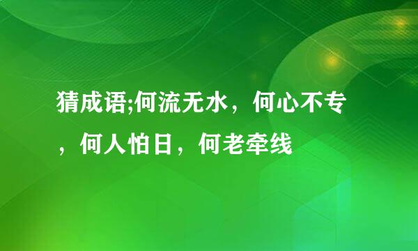 猜成语;何流无水，何心不专，何人怕日，何老牵线