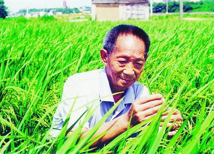 袁隆平袁老的安葬地在哪里?