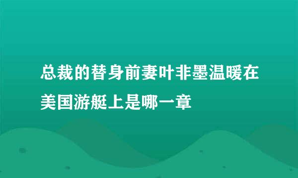 总裁的替身前妻叶非墨温暖在美国游艇上是哪一章