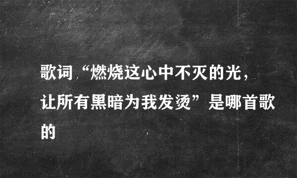 歌词“燃烧这心中不灭的光，让所有黑暗为我发烫”是哪首歌的