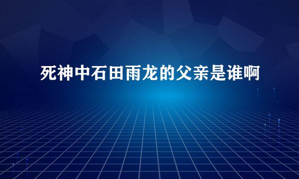 死神中石田雨龙的父亲是谁啊