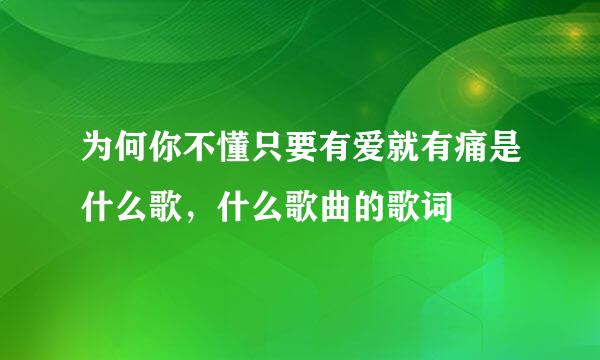 为何你不懂只要有爱就有痛是什么歌，什么歌曲的歌词