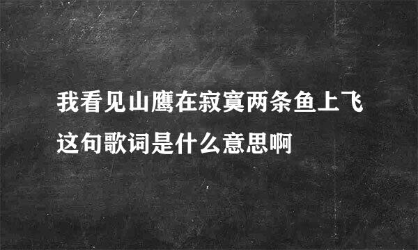 我看见山鹰在寂寞两条鱼上飞这句歌词是什么意思啊