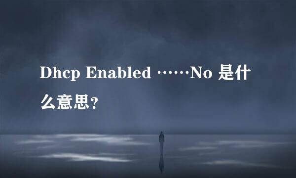 Dhcp Enabled ……No 是什么意思？