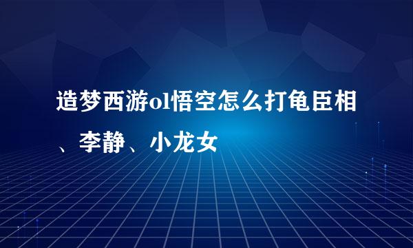 造梦西游ol悟空怎么打龟臣相、李静、小龙女