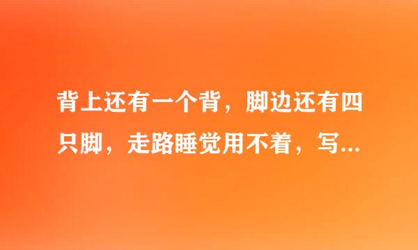 背上还有一个背，脚边还有四只脚，走路睡觉用不着，写字画画要它帮。是什么生肖？