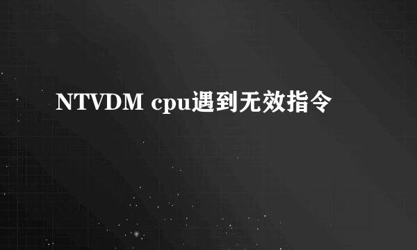 NTVDM cpu遇到无效指令