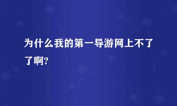 为什么我的第一导游网上不了了啊?