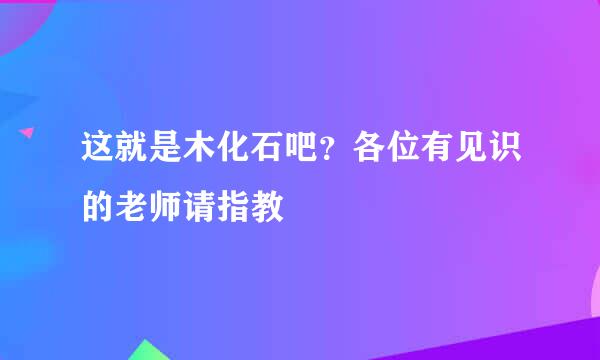 这就是木化石吧？各位有见识的老师请指教