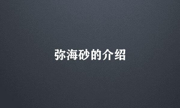 弥海砂的介绍