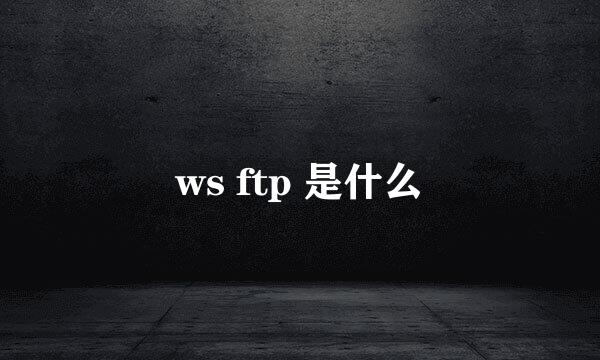 ws ftp 是什么