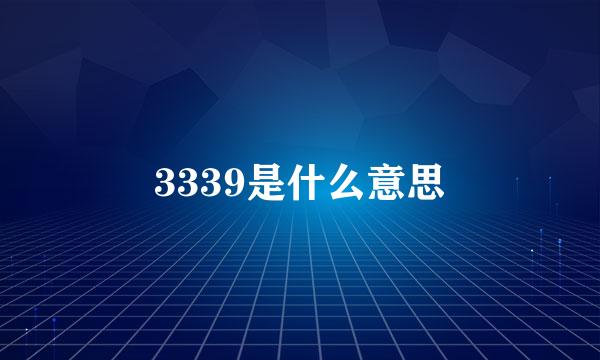 3339是什么意思