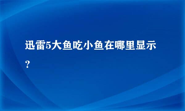 迅雷5大鱼吃小鱼在哪里显示？